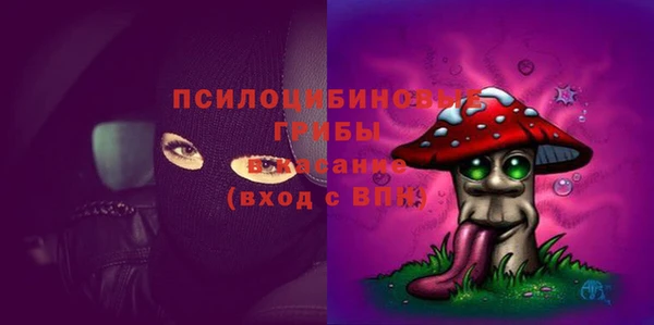 сатива Богданович